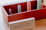 Vaginal & Rectal Trainers (Dilators)